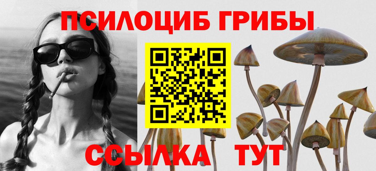Лангепас  Псилоцибиновые грибы Cubensis  Вход с VPN 
